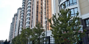 Восстановление аллеи.