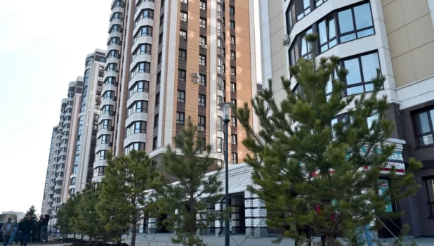 Восстановление аллеи.