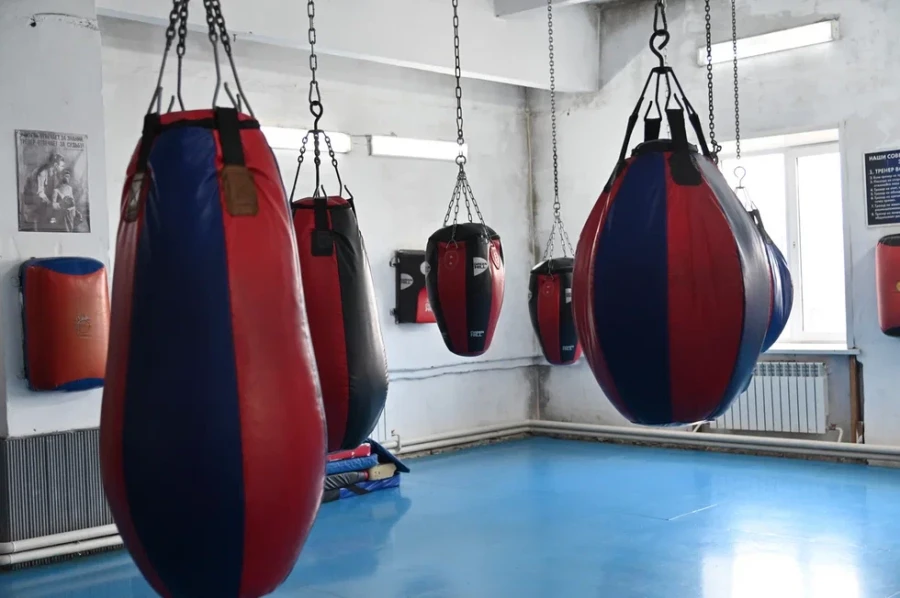 Спортивная инфраструктура Каменского района