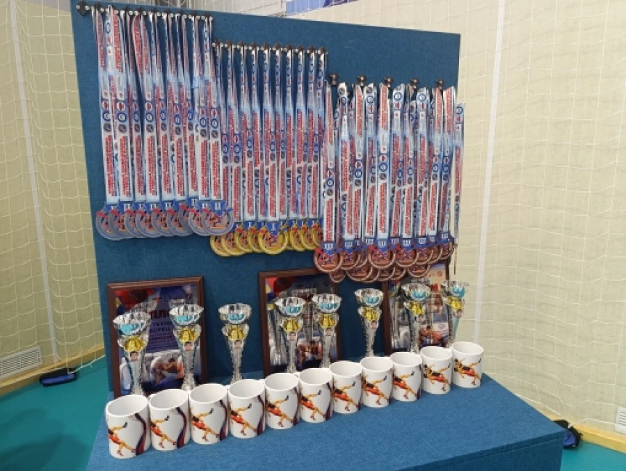 Первые краевые соревнования по греко-римской борьбе среди подростков, посвященные памяти мастера спорта СССР, детского тренера Виктора Селиванова.