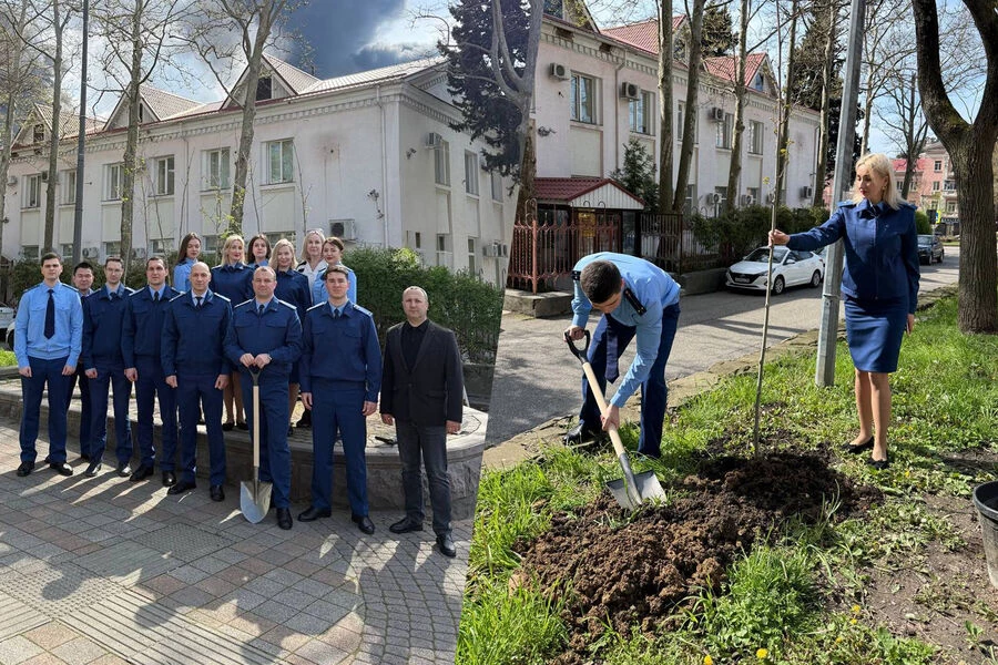  Фотоотчет о посадке деревьев 