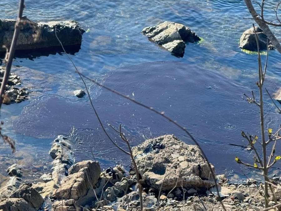 Экологическая катарстрофа