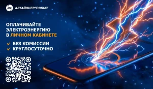 «Алтайэнергосбыт» рекомендует заранее позаботиться об оплате электроэнергии.