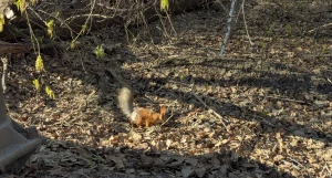 Парк Юбилейный 28 апреля.