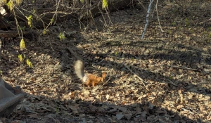 Парк Юбилейный 28 апреля.