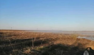 Пожар в районе села Веселоярск.