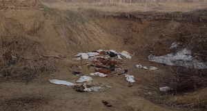 Свалка с останками.