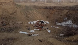 Свалка с останками.