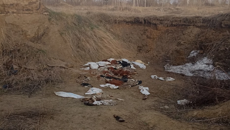 Свалка с останками.