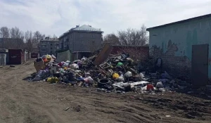 Переполненные контейнеры Новоалтайск.