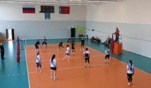 Корпоративный турнир по волейболу среди женских команд.