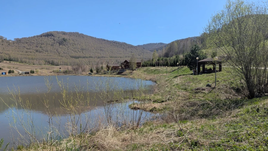 На Алтае приглашают погладить пчел, поспать на них и попробовать мед.