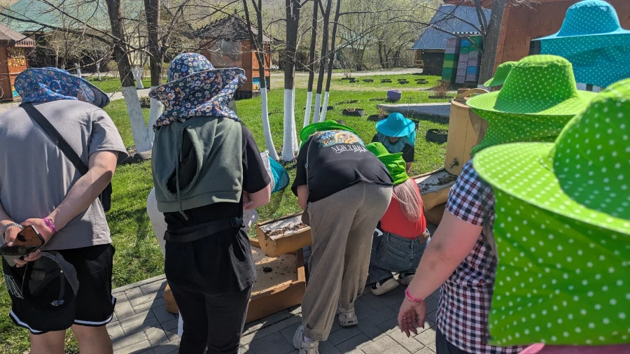 На Алтае приглашают погладить пчел, поспать на них и попробовать мед.