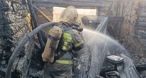 В Барнауле огонь уничтожил два жилых дома и надворные постройки