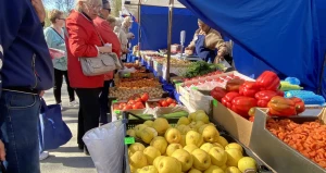 Продовольственные ярмарки в Барнауле.