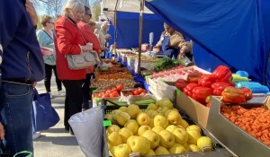 Продовольственные ярмарки в Барнауле.