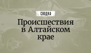 Сводка происшествий в Алтайском крае.
