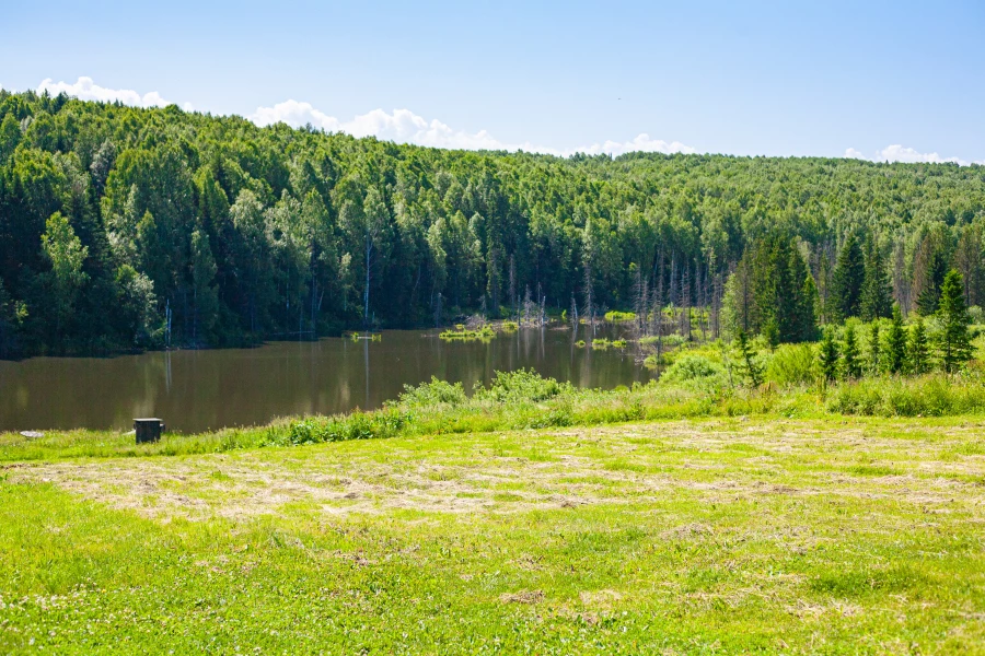Деревня. Село. Деревенский пейзаж.