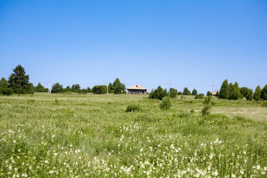 Деревня. Село. Деревенский пейзаж.