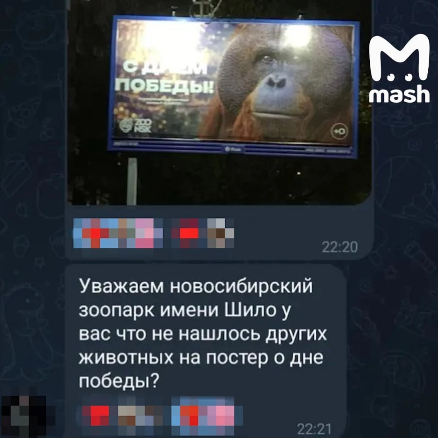 Орангутан Бату на баннере.
