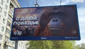 Орангутан Бату на баннере.