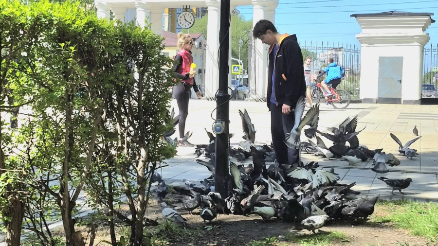 Парк «Изумрудный».