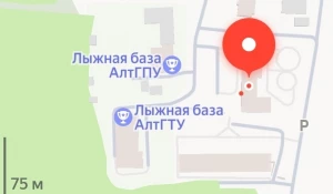 Парковка посреди соснового бора в Барнауле.