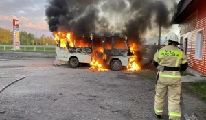 Маршрутный автобус сгорел в Павловске