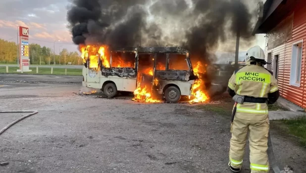 Маршрутный автобус сгорел в Павловске