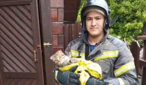 Пожарный со спасенной кошкой. 