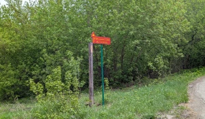 Никольский источник.