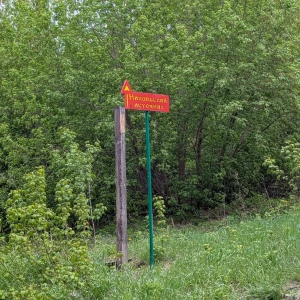 Никольский источник.