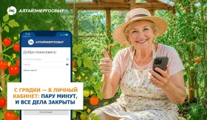 Дачный сезон — не повод забывать про передачу показаний счетчиков.