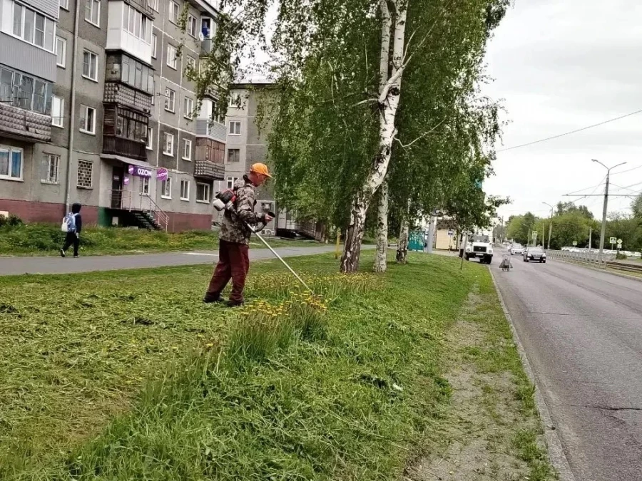 Дорожники Барнаула косят траву.