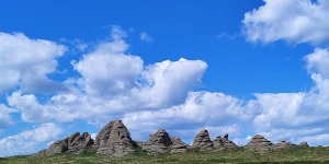 В степи Казахстана. Предгорья Алтая.