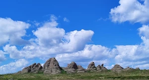 В степи Казахстана. Предгорья Алтая.
