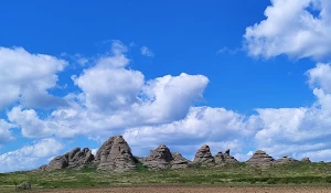 В степи Казахстана. Предгорья Алтая.