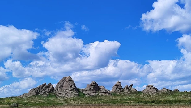 В степи Казахстана. Предгорья Алтая.