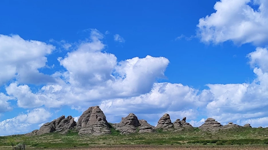 В степи Казахстана. Предгорья Алтая.