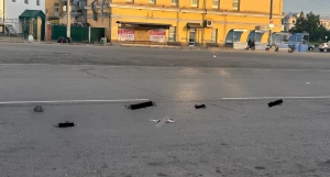 Мертвые голуби в центре Барнаула.