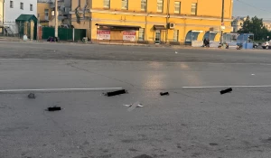 Мертвые голуби в центре Барнаула.
