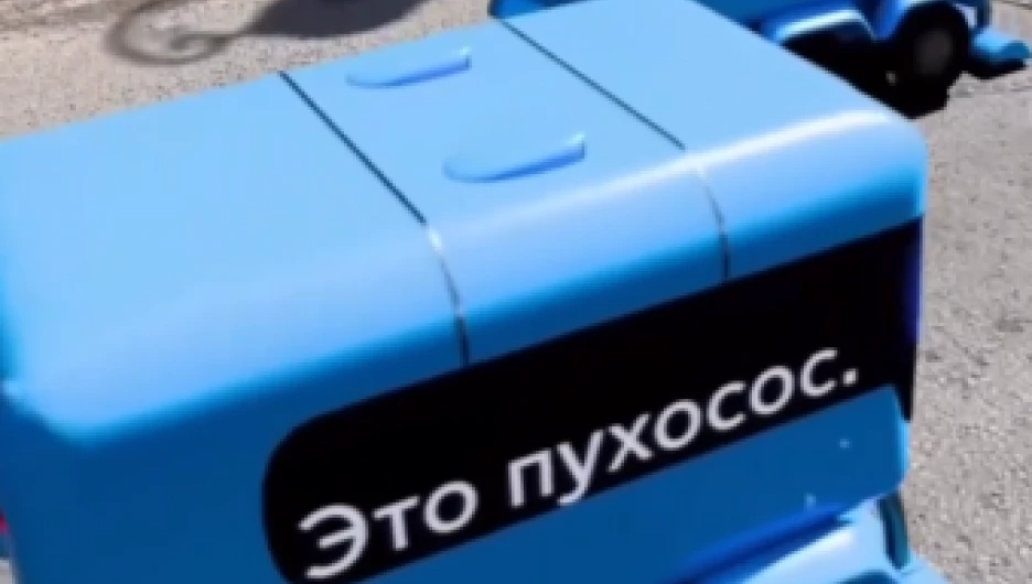 Пухососы в Москве.