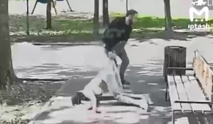 Мужчина избил сожительницу.
