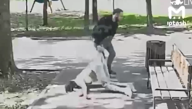 Мужчина избил сожительницу.