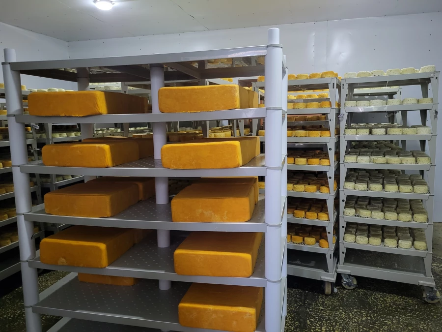 Новая производственная площадка Логовской сыроварни