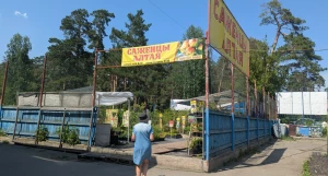 «Саженцы Алтая»