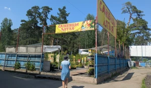 «Саженцы Алтая»