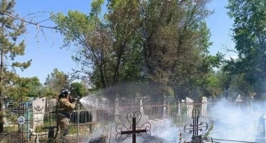 В Михайловском районе загорелось кладбище.