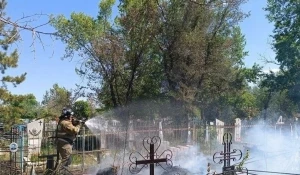 В Михайловском районе загорелось кладбище.