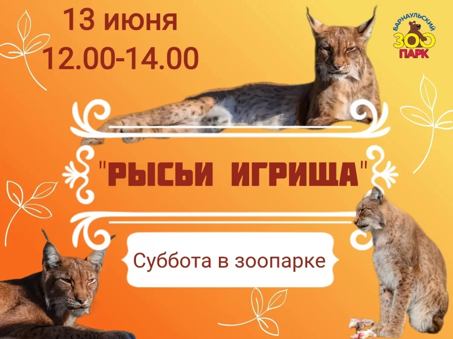 Длинные выходные в «Лесной сказке».